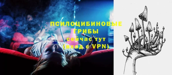 mdpv Верхний Тагил