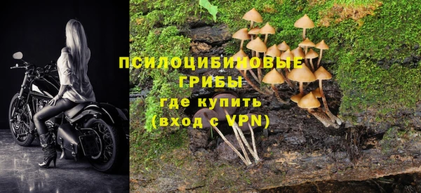 а пвп мука Бугульма