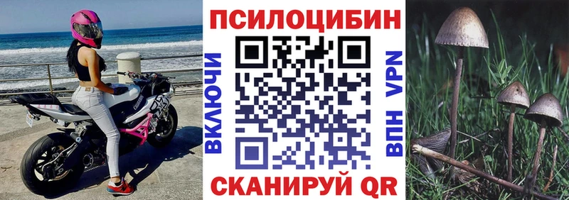 кракен ссылки  купить наркотики цена  darknet как зайти  Псилоцибиновые грибы GOLDEN TEACHER  Касли 